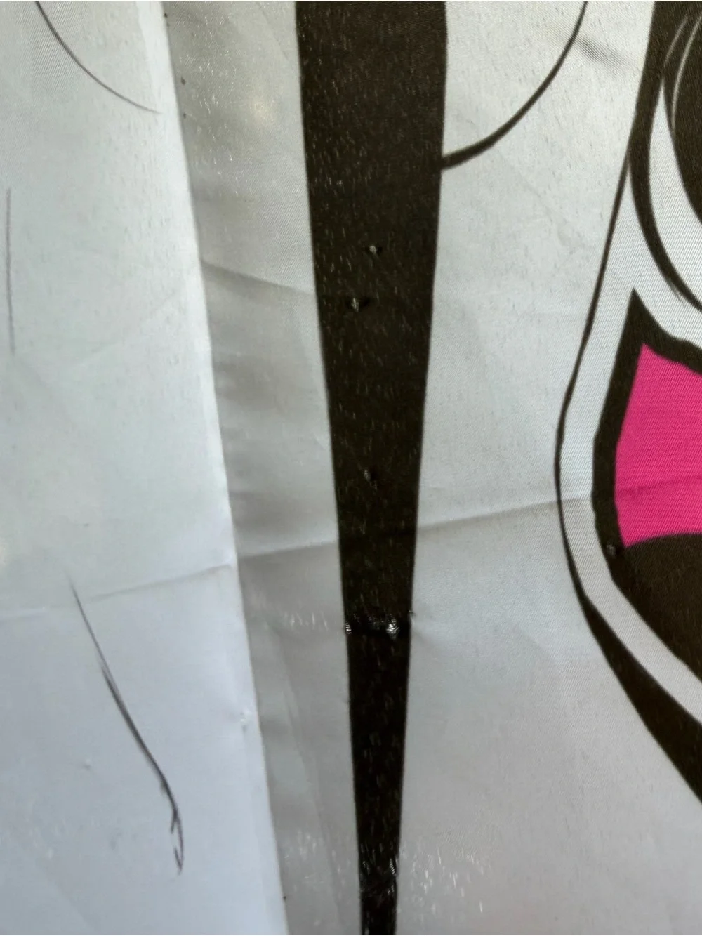 LEWD COMPLEX Erotic Succubus Wall Flag - Black, White & Hot Pink